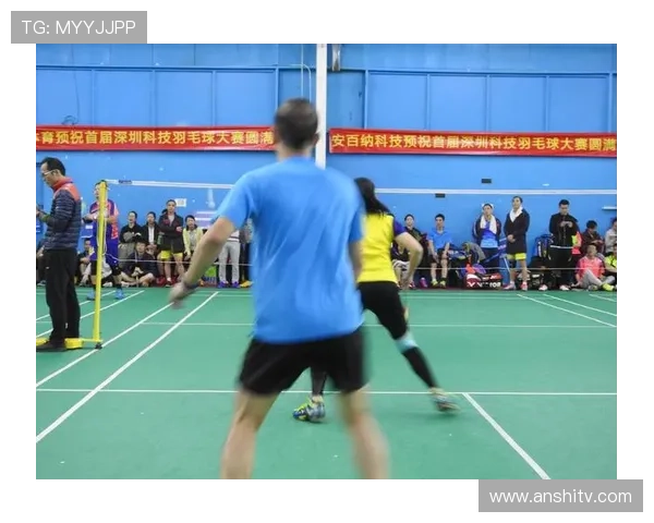 南京羽毛球队总决赛表现分析:意识与战术的完美结合与提升